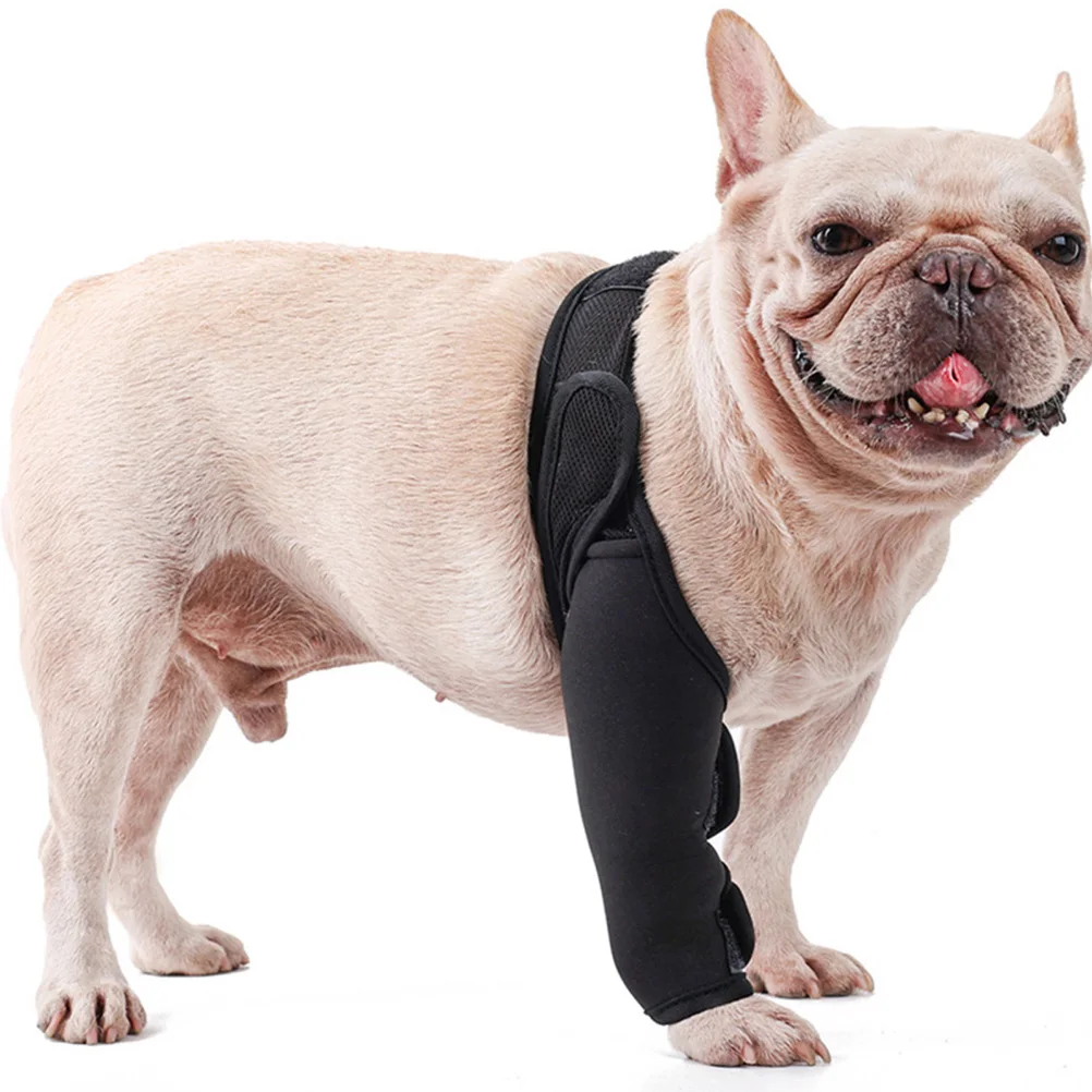 

Dog Knee Brace Comfortable Neoprene Pet Support Brace For Injured Senior Dogs Adjustable Puppy Leg Sleeve Recovery Aid Dog