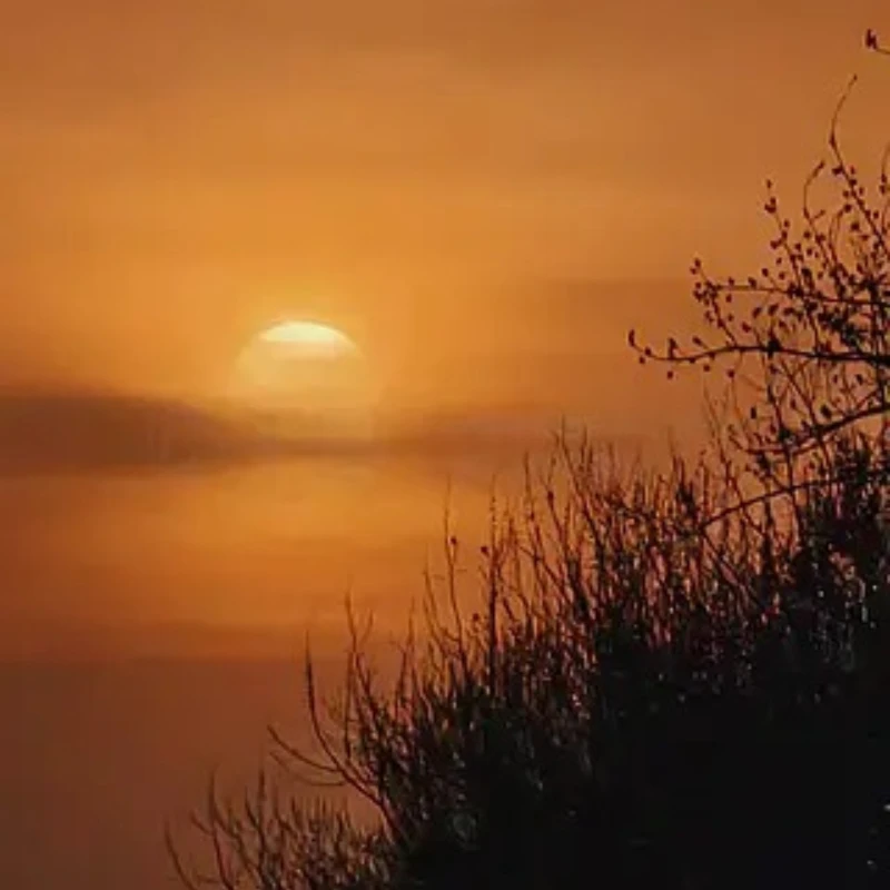 

GEPRC SPEEDX2 1505 4300KV Motor 20A-30A Brushless 16.8V Motor Black with 2.5 - 3.5 Inch RC FPV Racing Drone Multicopter