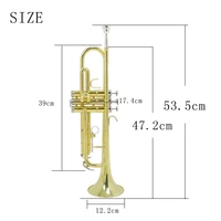 SLADE Trumpet Bb B Flat Brass Material Trumpet Professional Musical Instrument With Case Mouthpiece Gloves Cleaning Cloth Strap 2