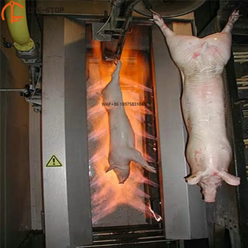 Fabbrica Di Abatuaggi Di Maiale Impianto Di Lavorazione Standard Di Maiale Con Attrezzatura Per Macellazione Di Maiali-image