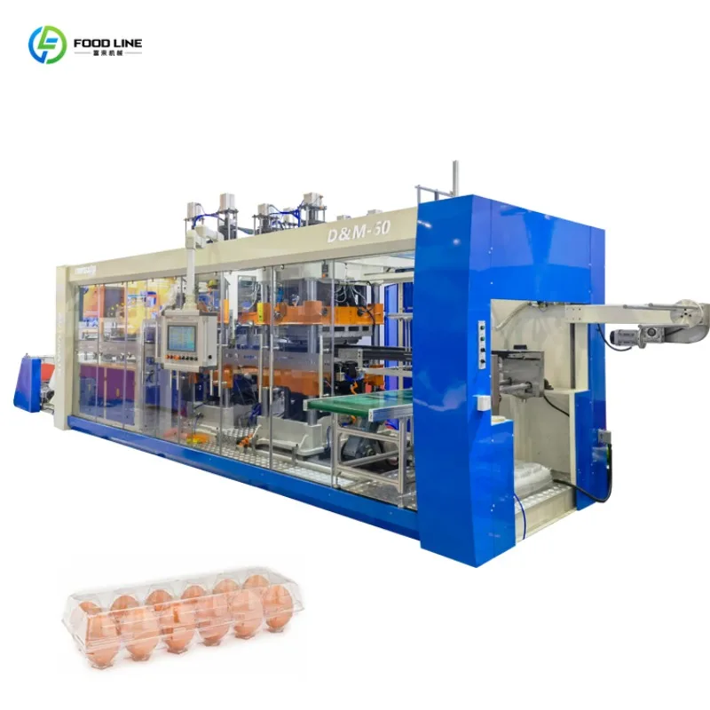 Full Automatic Thermoforming Cake Box and Egg Tray Machine Vacuum Pressure Forming High Speed Durable Customized For Factory