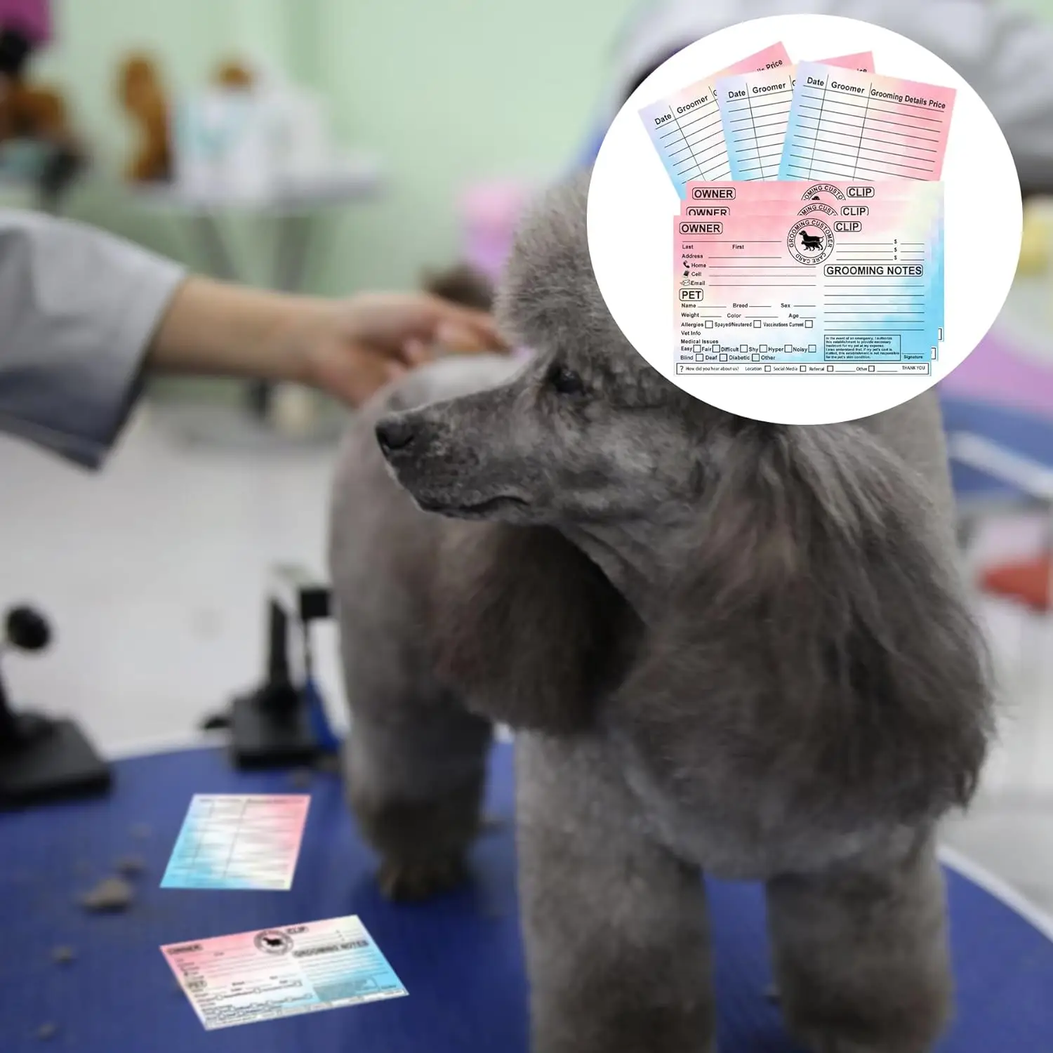 Imagem -04 - Grooming Cartões de Informações para Pet Cat e Dog Client Profile Service Record Business Data Page Cards 50 Pcs 8*5 in