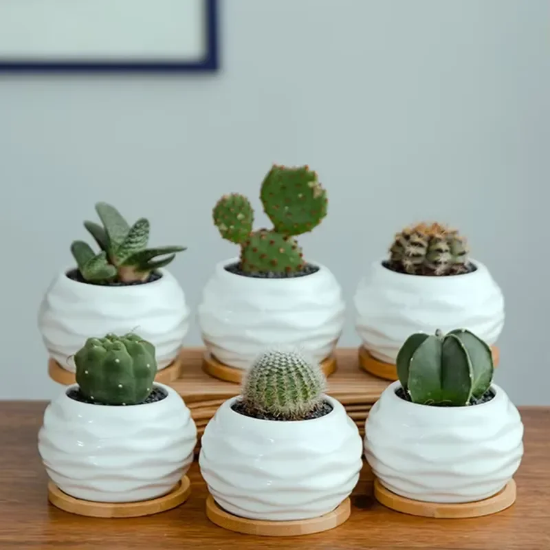 Luxury Modern Mini Ceramic Succulent Plant Pot with Bamboo Tray Decorative Indoor Garden Planter