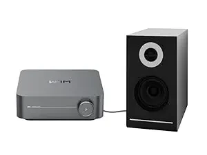 Connect your speaker to WiiM Amp Pro.