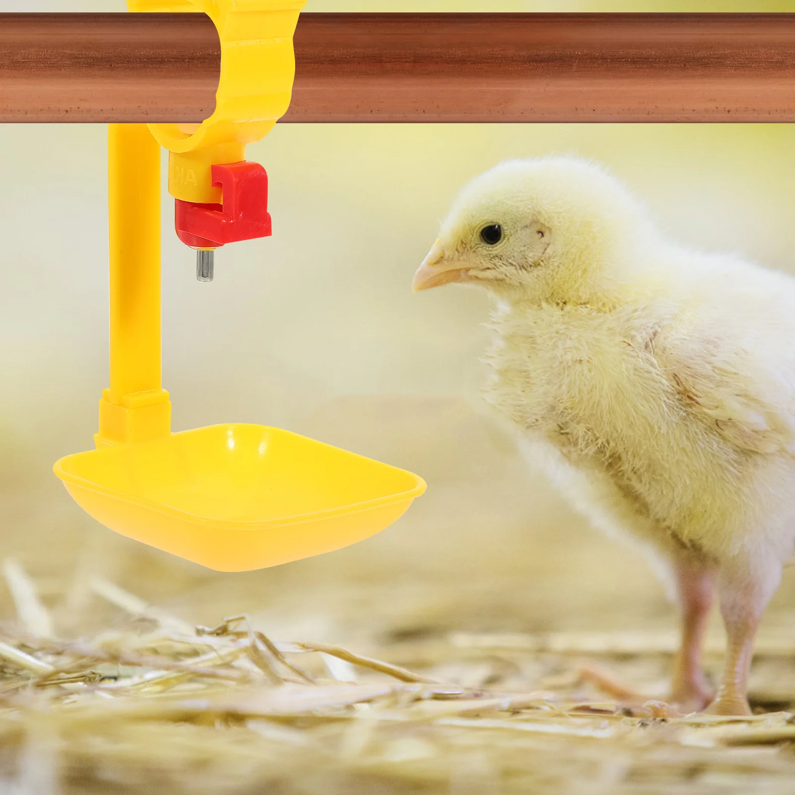 

10Pcs Chicken Water Drinkers Poultry Water Feeder Automatic Watering Cups for Farm Garden Household Chicken Supplies