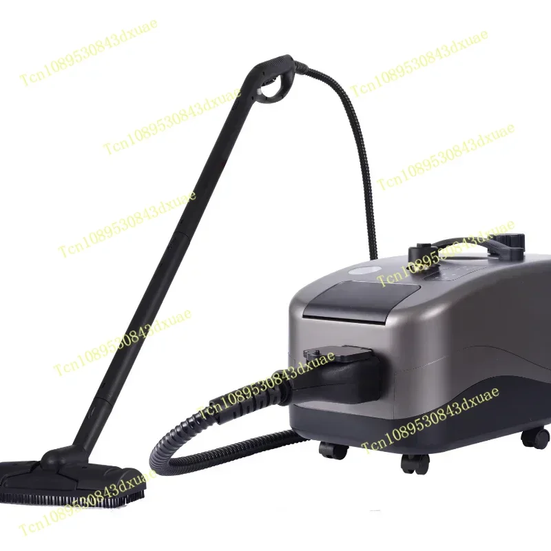 2020 professional car cleaning  and  kill bacteria equipment  5bar high pressure  steam cleaner  with accessory