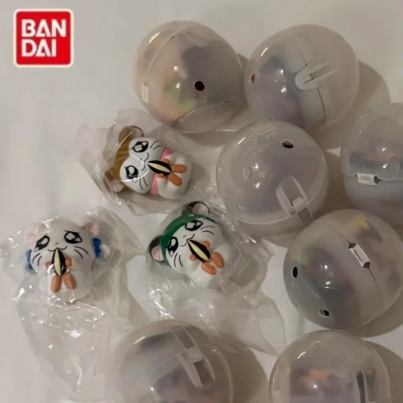 In Stock Bandai Hamtaro Vol.2 Loli Mara Dai Dai Eating Sunflower Seeds Waiting Pose Figure Anime Collectible Decorative Ornament