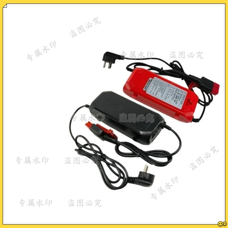 

F4 lithium battery small diamond charger ESCH24V5A forklift charger accessories