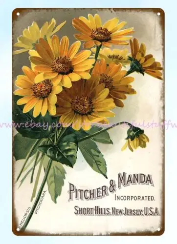 Heliopsis pitcheriana flower seeds Pitcher and Manda metal tin sign metal art