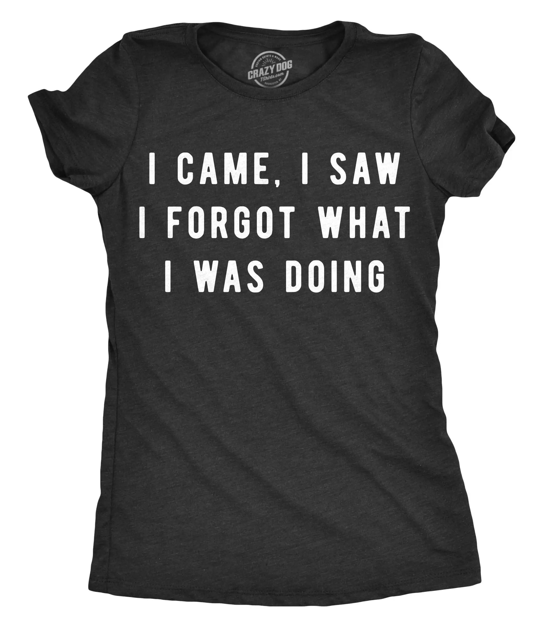 Amnesia T Shirt Sarcastic Women With Funny Sayings Womens Offensive For I Came Saw Forgot