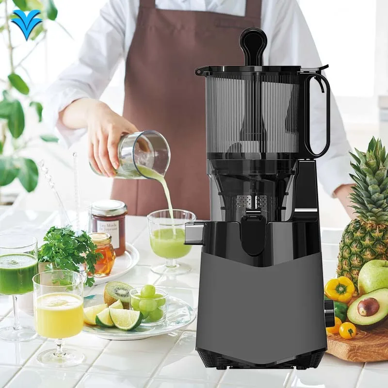 

144SJ New Promotion Low Price Multifunctional Slow Speed Juicer Manufacturer From China
