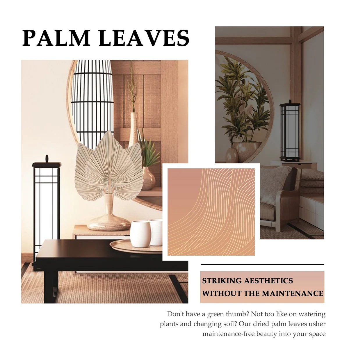 B49CDried Palm Leaves Room Decor 5 Pieces - 18Inch H x 10Inch W Large Natural Palm Leaf Decor for A Beautiful Boho Look