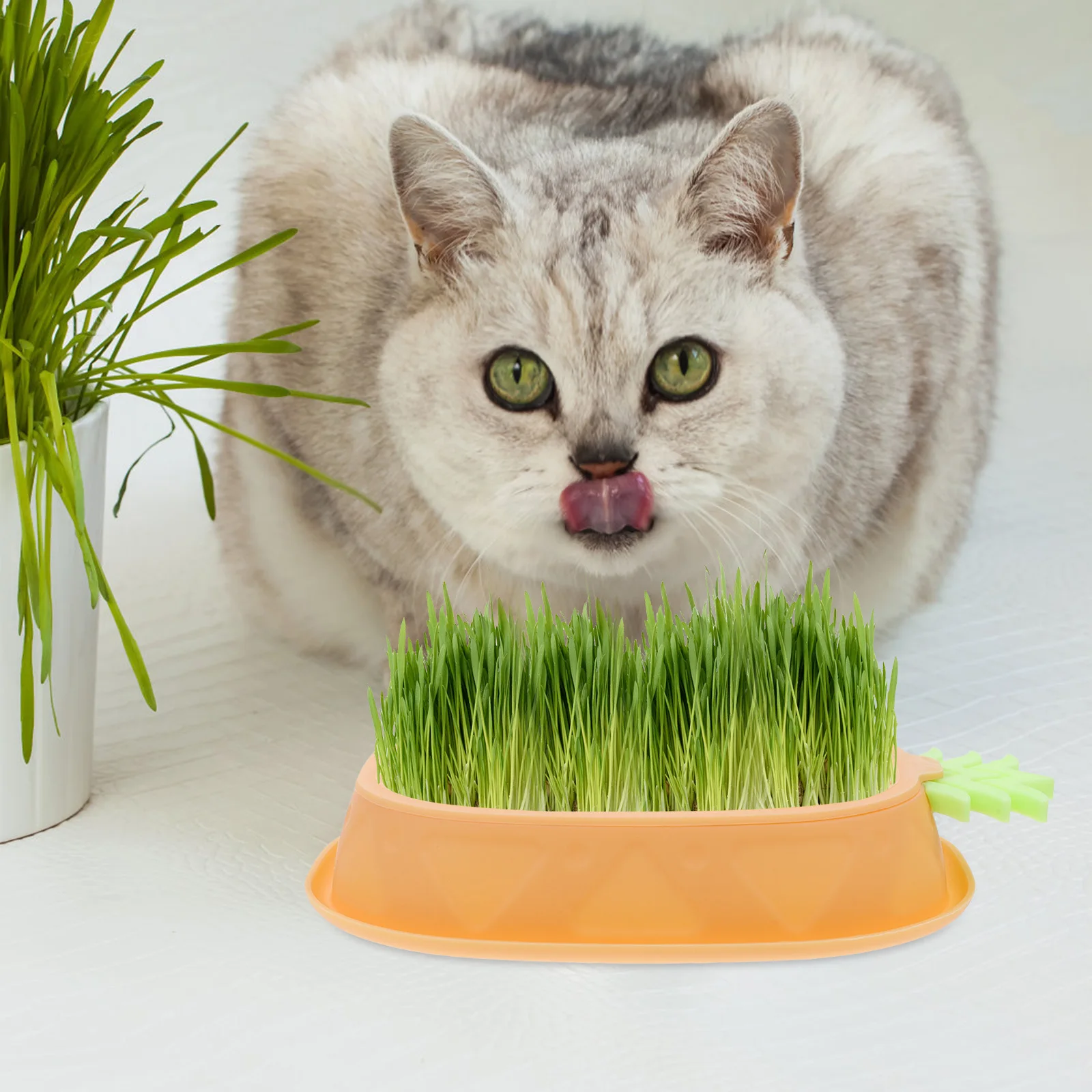 Hydroponic Cat Grass Planter Yellow Design for Cats Indoor Use Promotes Digestion Reduces Anxiety Layered Drainage