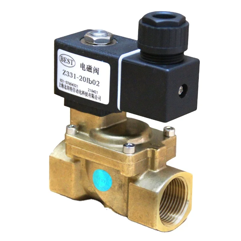 Valve Z331 Brass 2/2 Two Way Pilot Operated Diaphragm Normally Closed NC air Water Oil 12v 24v 220v 110v Ac Dc Solenoid Valve