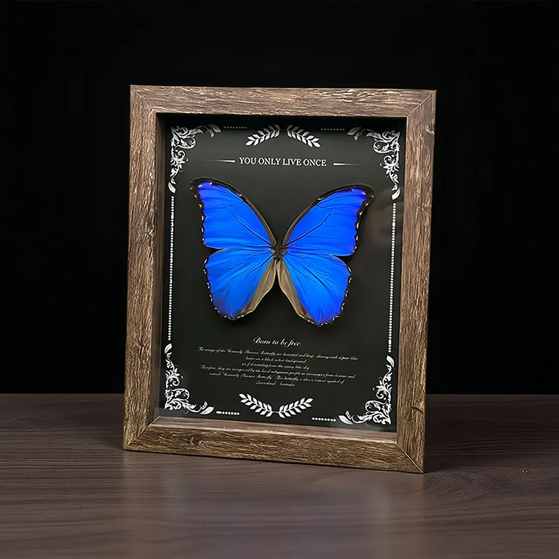 Real Blue Butterfly Specimen in 10-Inch/8-inch Wooden Frame, Museum-Inspired Wall Decor with Gift Box