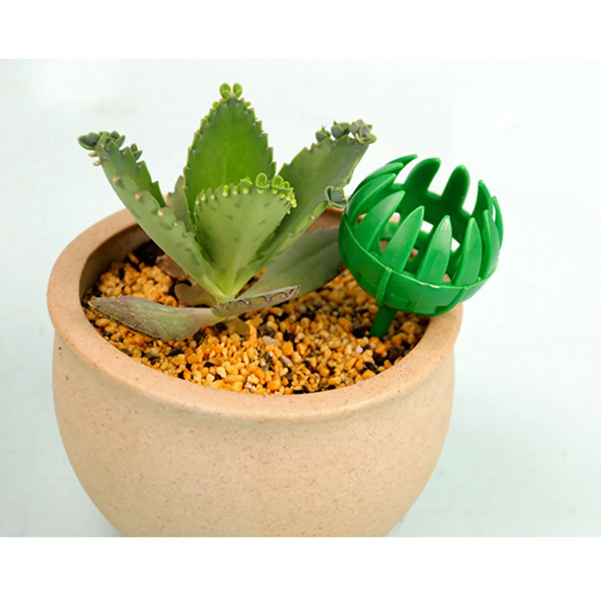 50Pcs Premium Plastic Fertilizer Baskets for Organic Pellets Easy Insert Soil Feed Holder Protects from Birds Wind