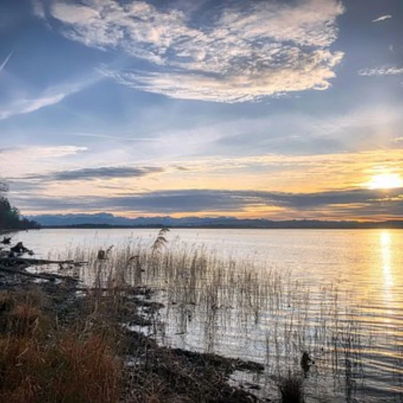 

Колесная база 313 для Wrangler, 5-дверный корпус для 1/10 RC гусеничного автомобиля Traxxas TRX4 SCX10 90046 AX103007 RC4WD JEEP DIY Запчасти и переменный ток