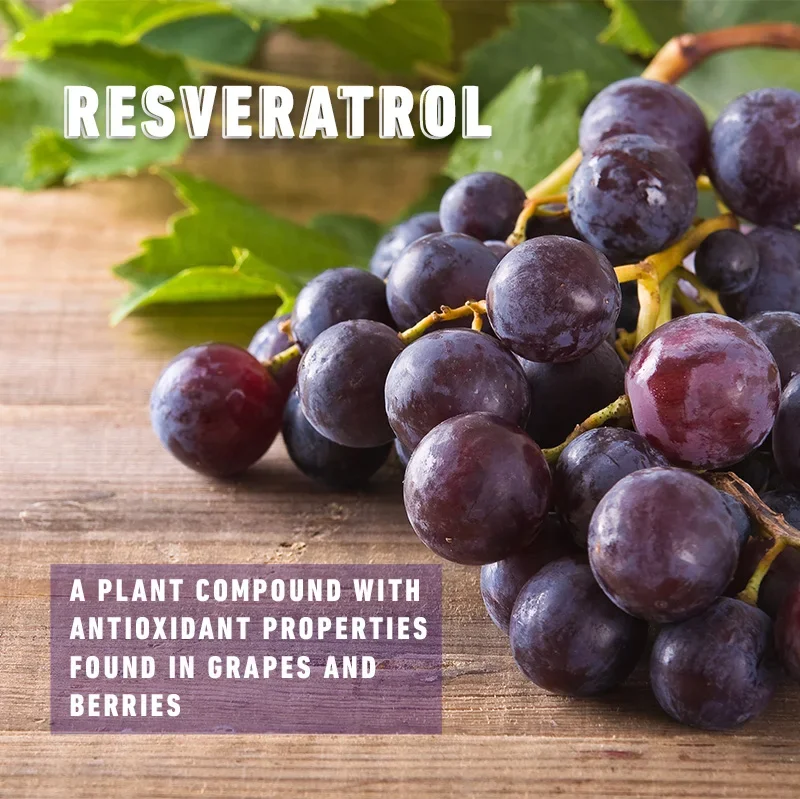 Resveratrol Complex - Support Circulatory Health, Healthy Aging, Antioxidants, Cardiovascular Health, Promotes Smooth Skin