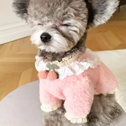 Pet Sweater Petal Cream Teddy Plush Sweater Bear Yorkshire Set Autumn/Winter Coat Puppy Clothes Dog Clothes for Small Dogs