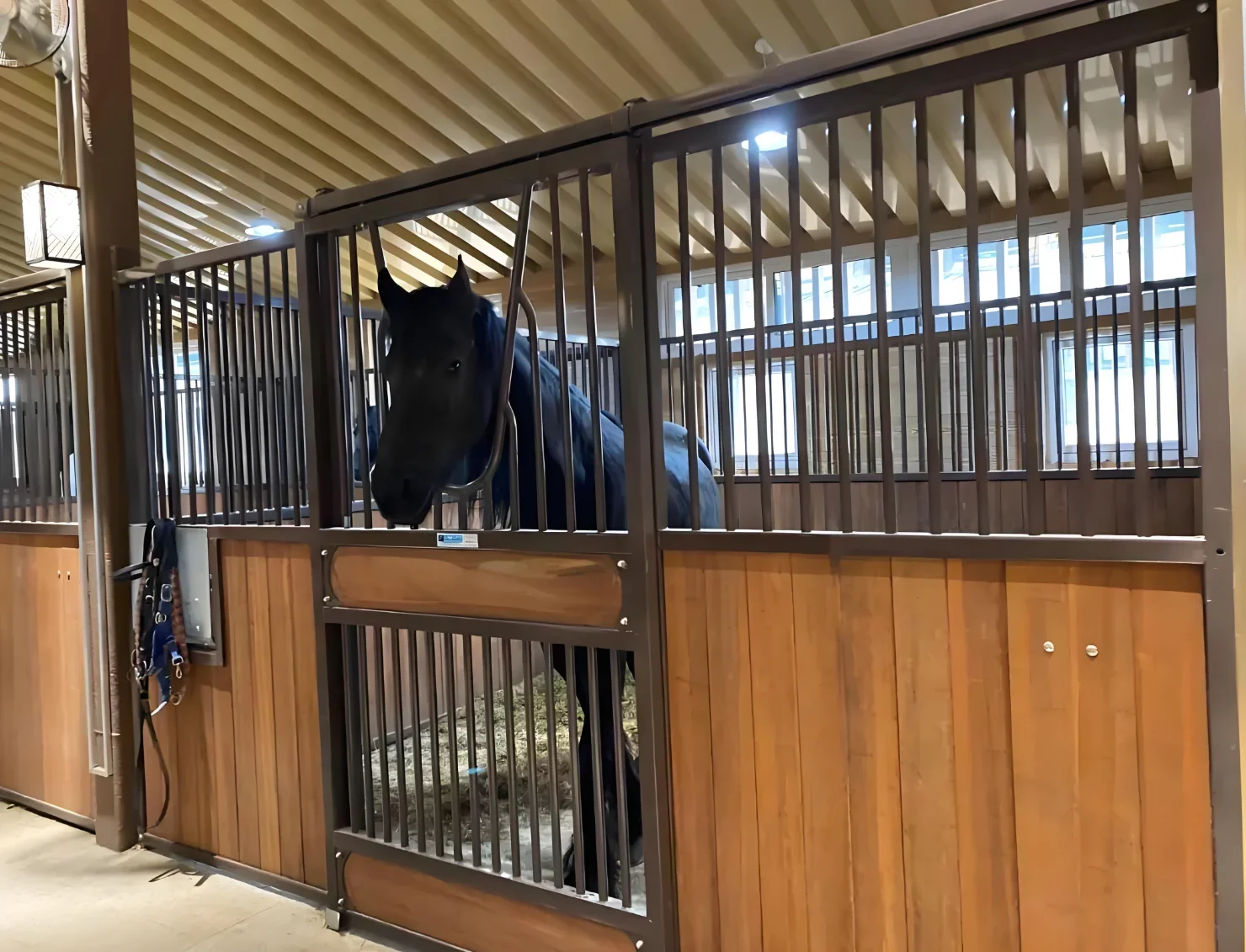 Used in private stables used in horse shows real and safe healthy non-toxic non-polluting cheap high quality horses shed