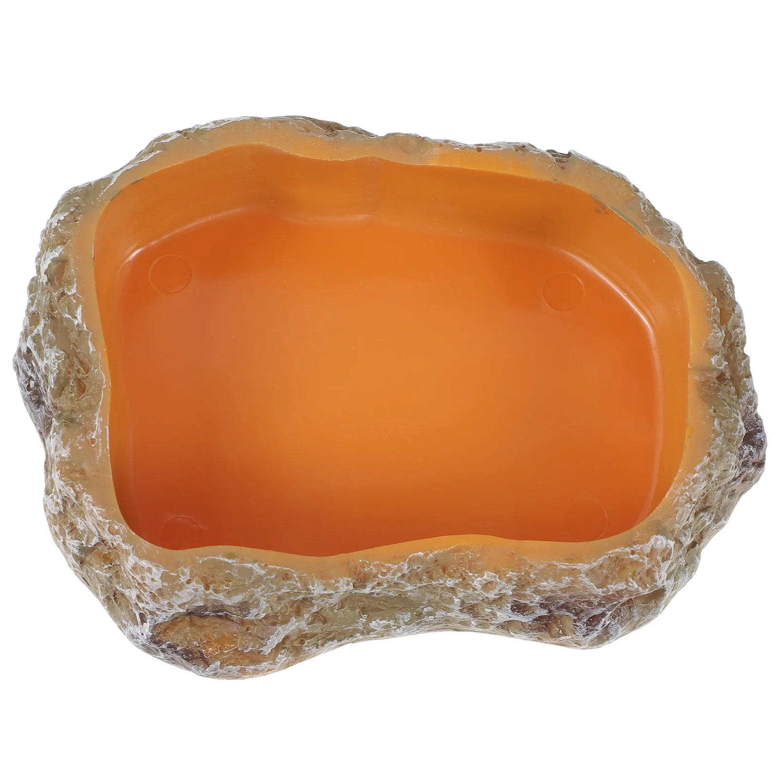 

Pet Feeding Bowl Reptile Food Dish Water Decorate Decorative Resin Worm Tortoise