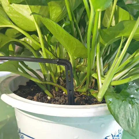 10 best sales बोन्साई को पानी देना - №10