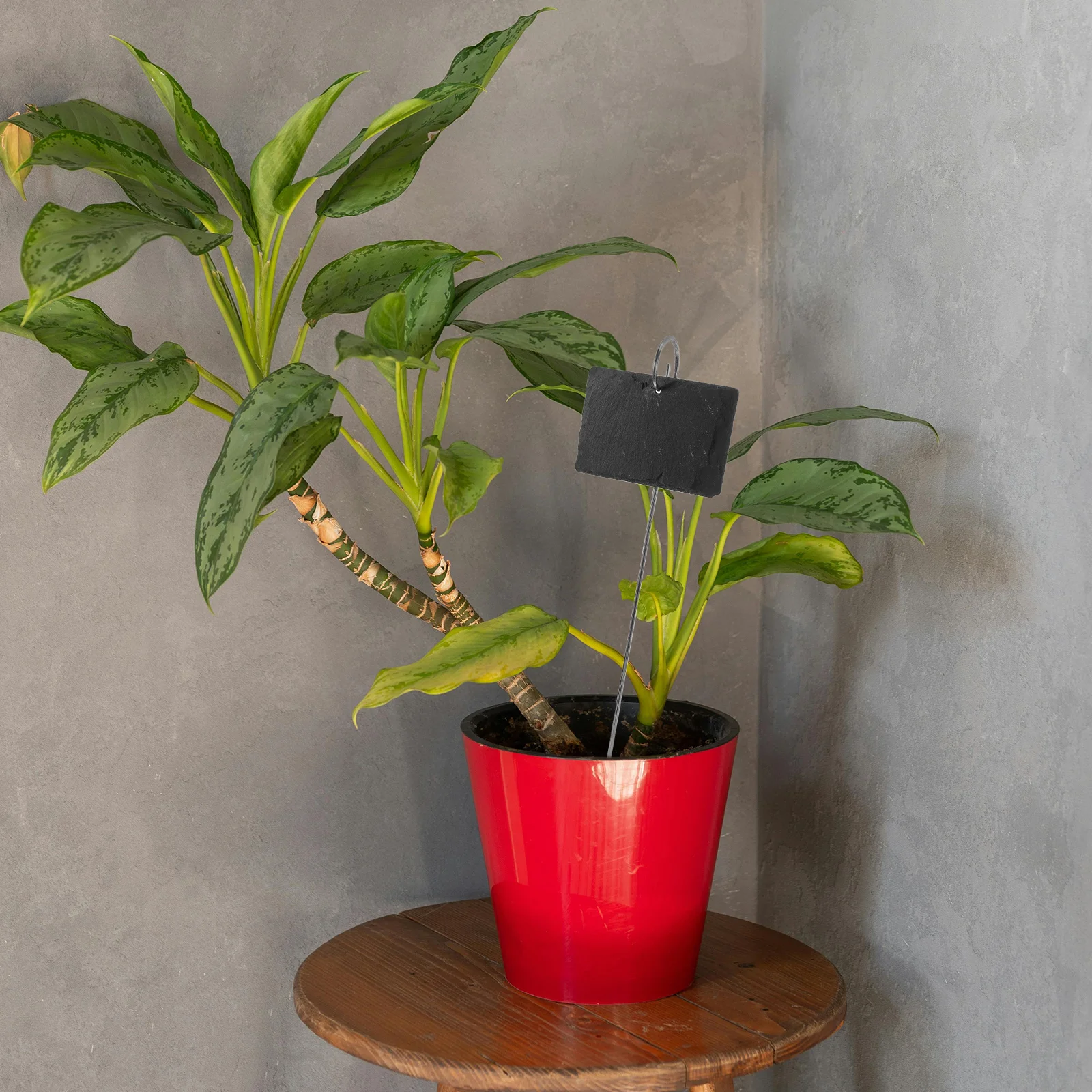 

2pcs Plant Labels Stone Garden Markers Reusable Weatherproof Chalkboard For Outdoor Indoor Large Rectangle Identification Stakes