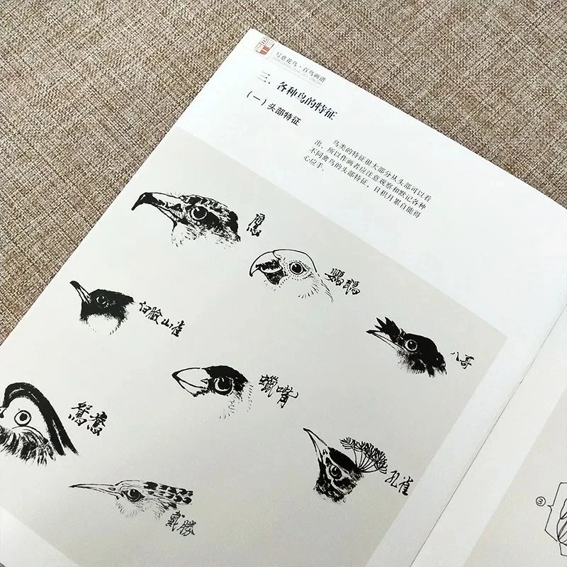 Traditional Chinese Painting Basic Tutorial Book Flower Bird Fish Insect Freehand Painting Album Introductory Teaching Material