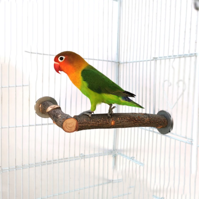 Natural Wood Pet Parrot Raw Wood Fork Tree Branch Stand Rack Squirrel Bird Hamster Branch Perches Chew Bite Toys Stick