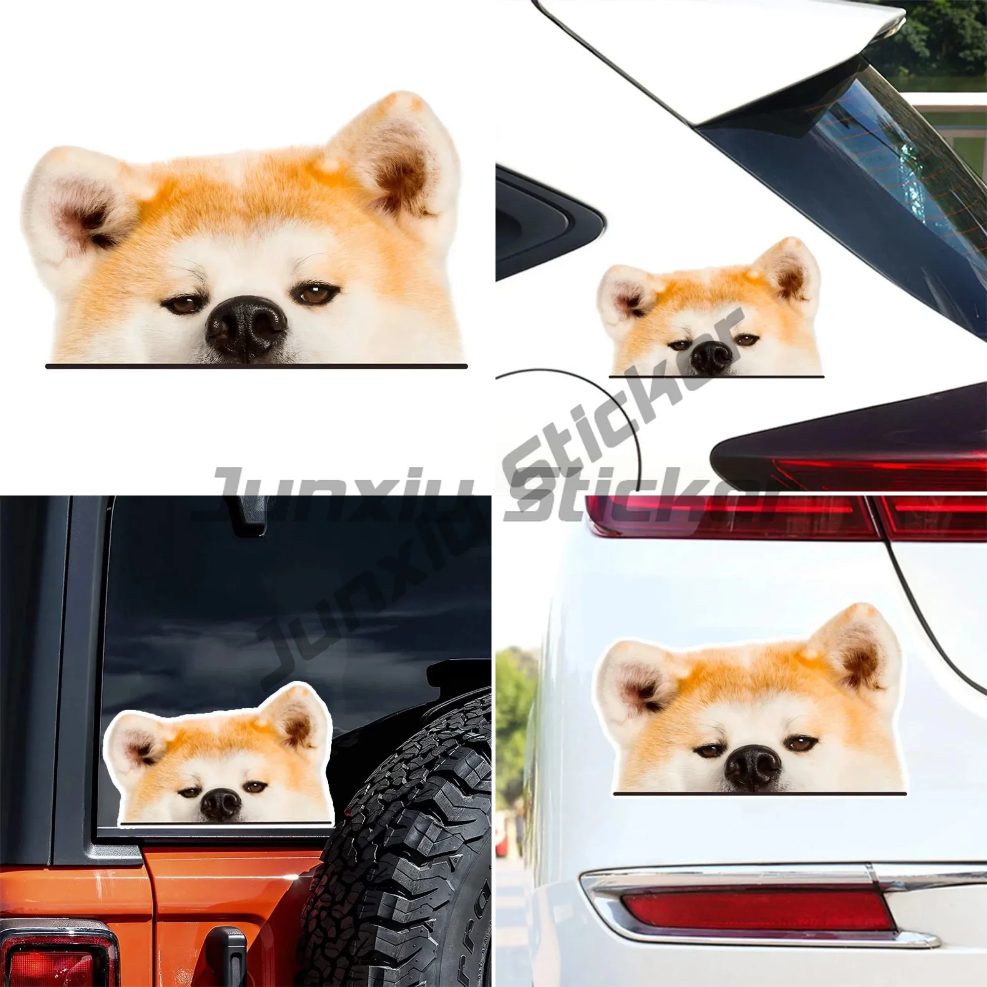 

Akita Inu Scornful Eyes Funny Creative Waterproof Vinyl Decal Motorcycle Decorative Accessories