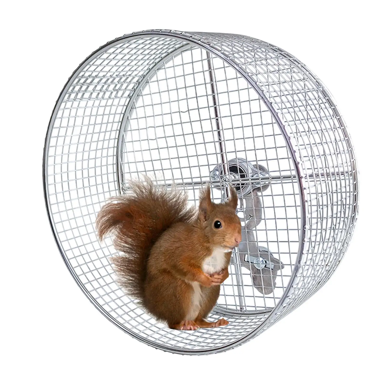 Hamster Running Exercise Wheel for Hedgehogs, Rats, Squirrel Anti Slip Activity Metal Fun to Play and Run Mute Cage Accessories