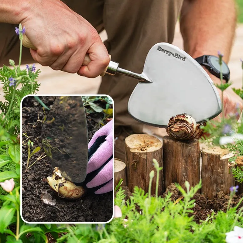 Household Flower Planting Stainless Steel Small Shovel, Ball Root Cutting, Planting, Transplanting, and Soil Exchange Special