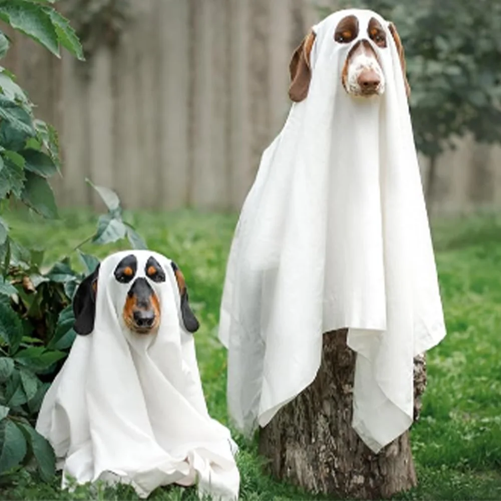 جديد شبح الكلب loween تأثيري الديكور الاسمية رداء مستلزمات الحيوانات الأليفة سماعة العرقية المرحلة زي المرأة Faion صيف 2025