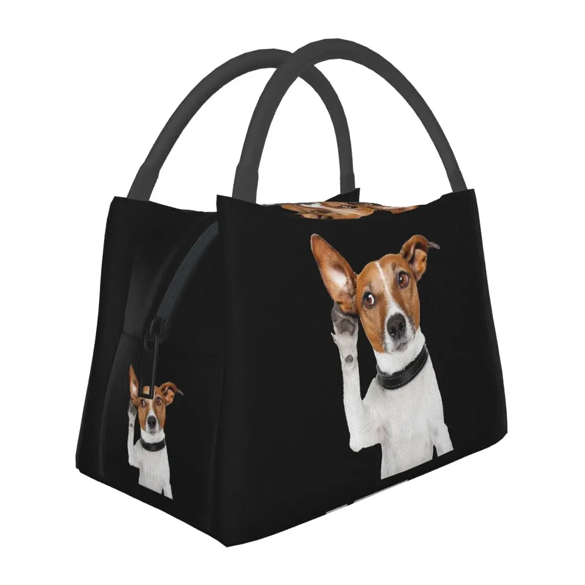 Jack Russell Terrier Dog Funny Lunch Bags isolato Bento Box Portable Lunch Tote borse da Picnic riutilizzabili per la scuola dei bambini della donna