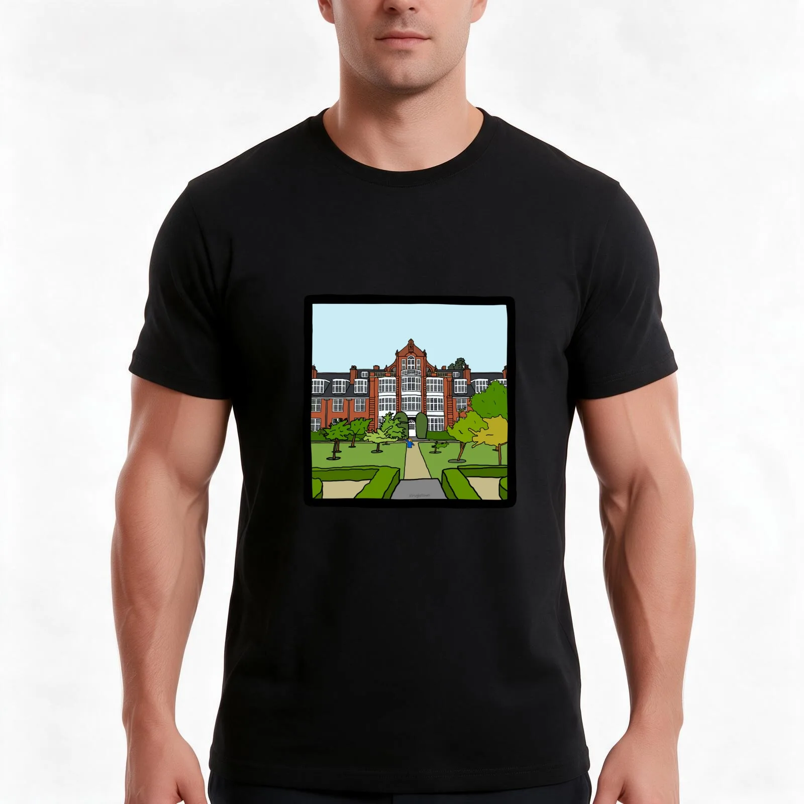 Newnham College - Strugletown || Cambridge struggles T-Shirt, Summer Casual Cotton Tee, Oversized Streetwear Tops, 100% Cotton