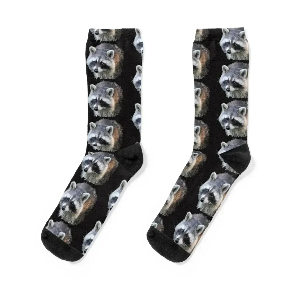 Raccoon Socks crazy retro gym cycling Boy Socks Women's