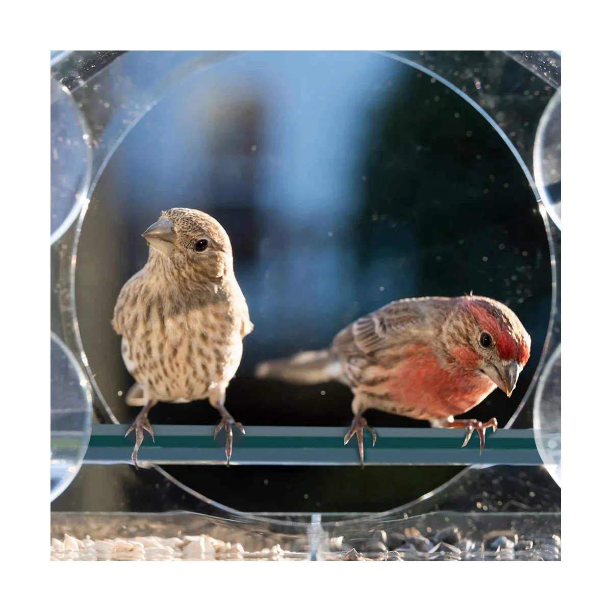 Window Bird Feeders with Strong Suction Cups, Clear for Outside,Bird House with 2 Compartment Removable Tray