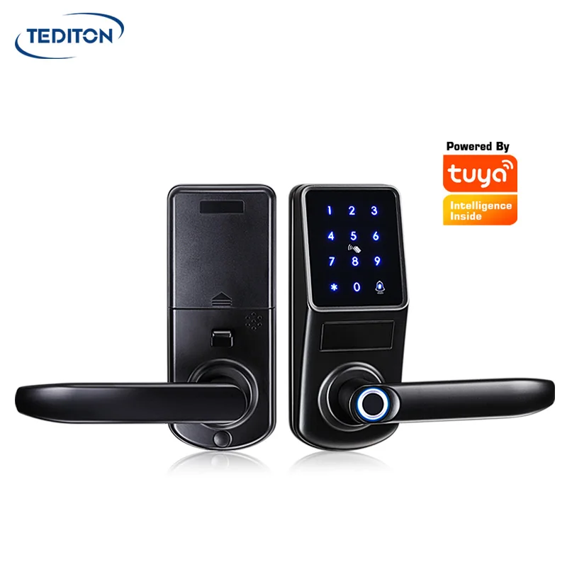 Tediton Biometric Digital Keyless Smartphone Wifi Fingerprint Smart Deadbolt Door Lock