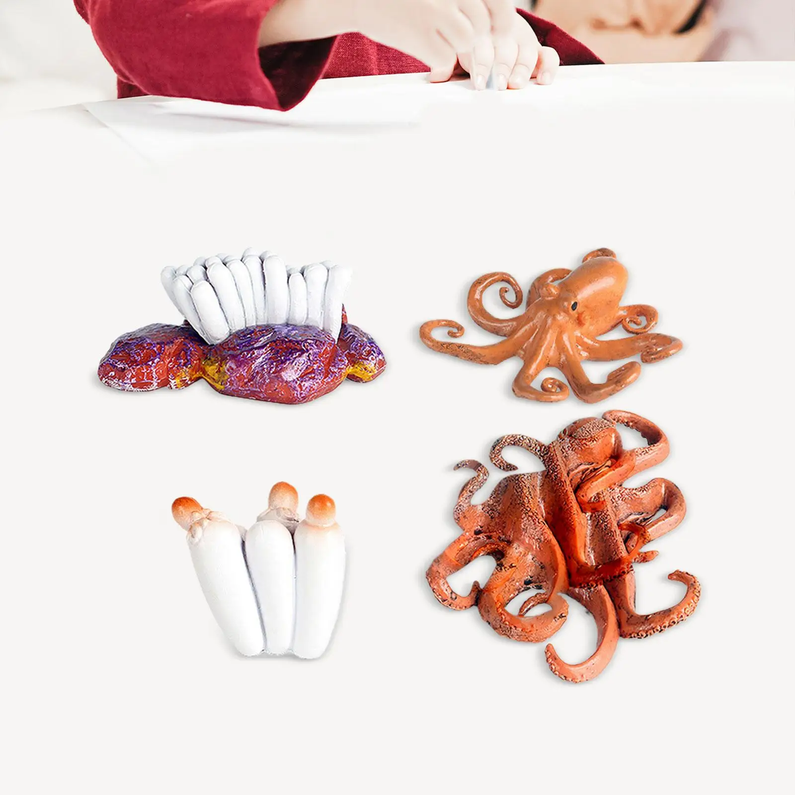 Realistic Octopus Growth Cycle Set for Kids, Cognitive Learning, Biology Montessori Toys, Idades 3 + Children, Toddlers Birthday Gifts