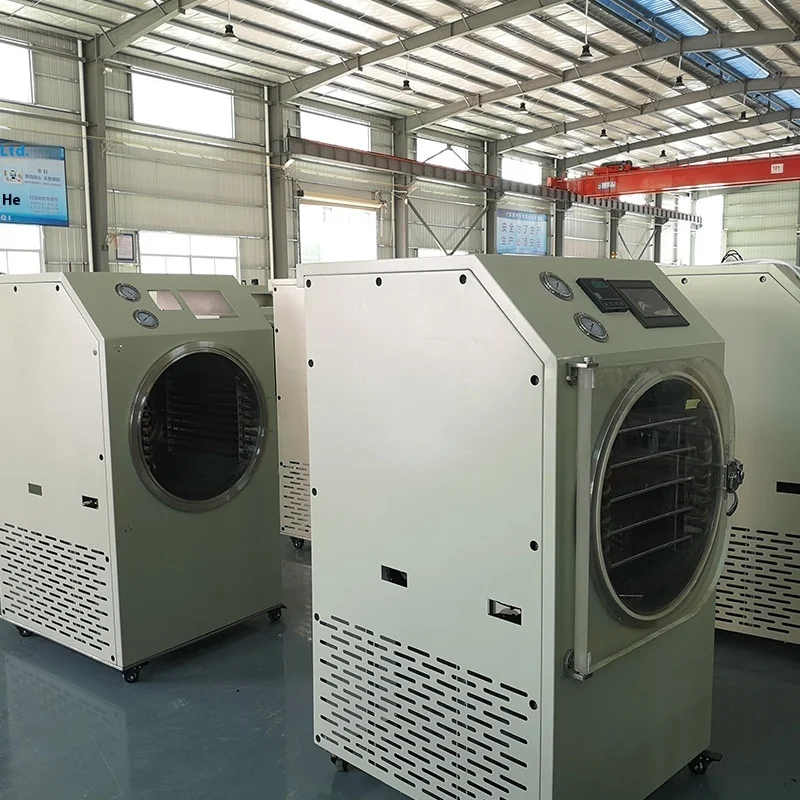 2025 New Small Laboratory Vacuum Dryer – Lyophilizer for Fruit, Cordyceps & Bird's Nest