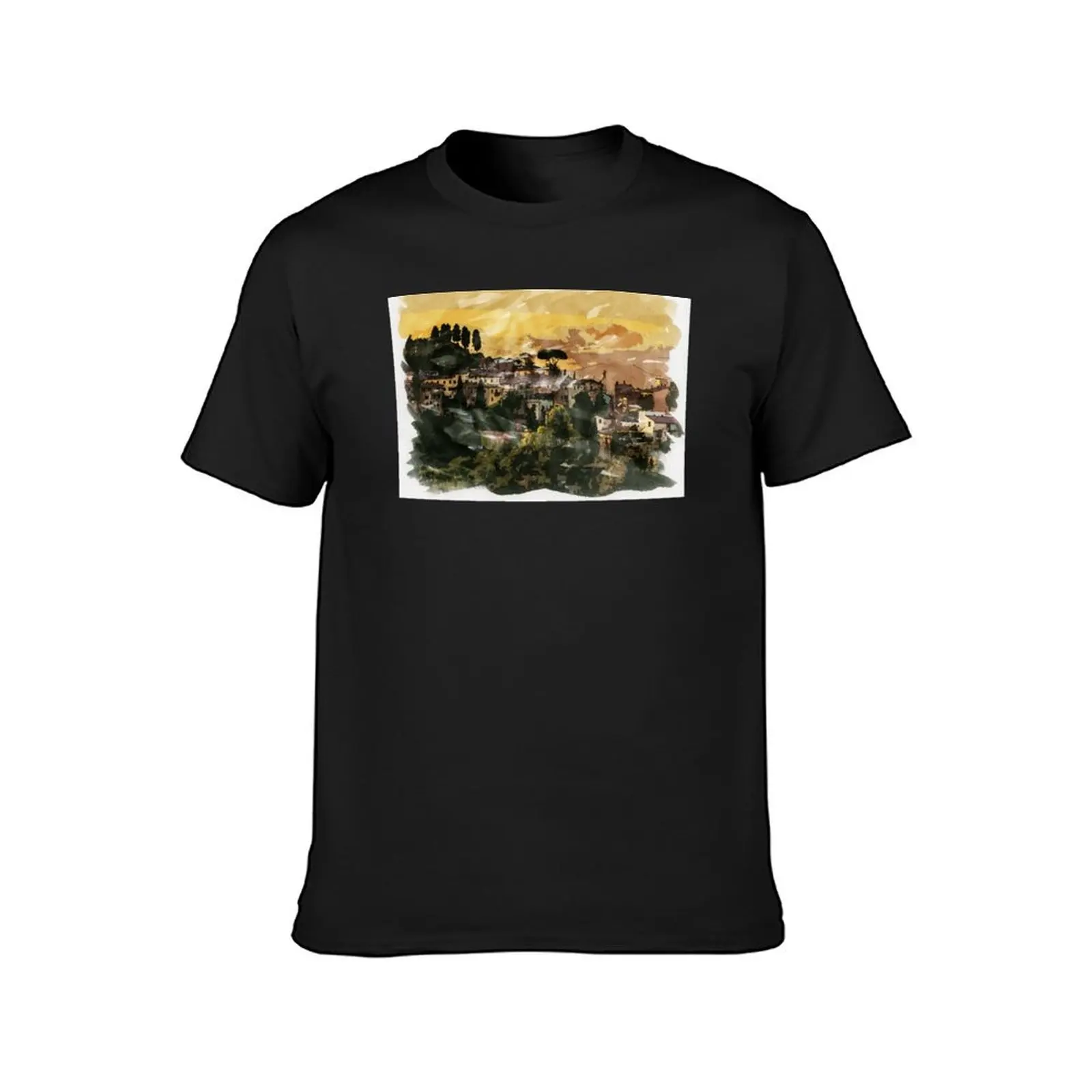 Tuscany Italy Historic Countryside treasures considered one of a kind worldwide T-Shirt kawaii clothes t shirts for men graphic