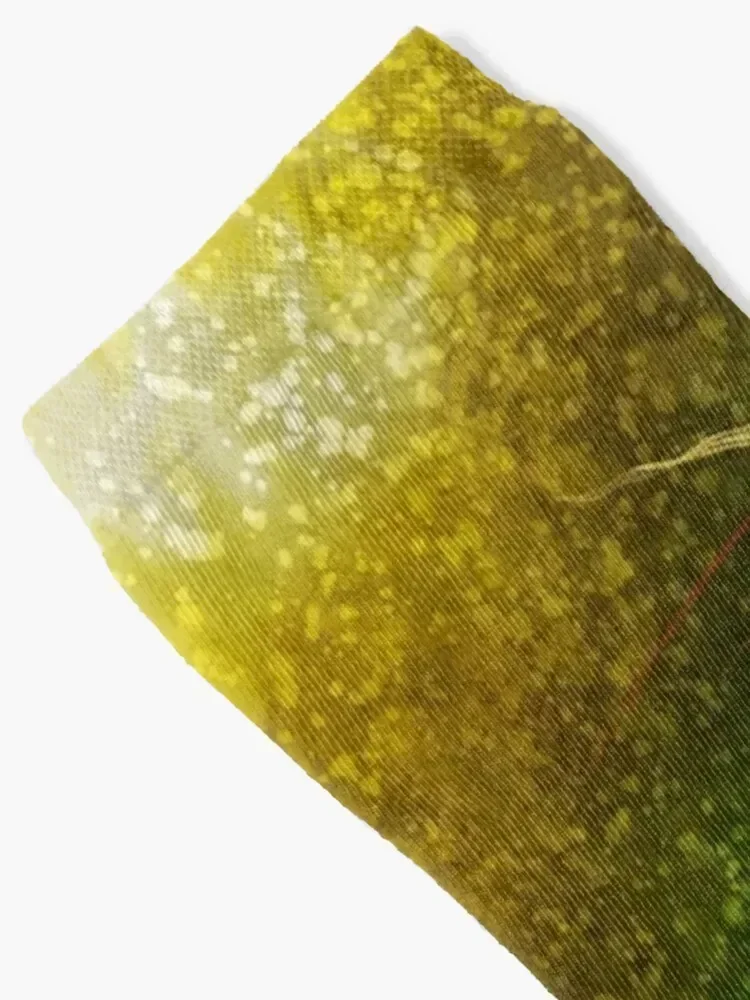 جوارب برينس نيمف فلاي لصيد الأسماك بتصميم كاحل هيب هوب للرجال، جوارب نسائية #2