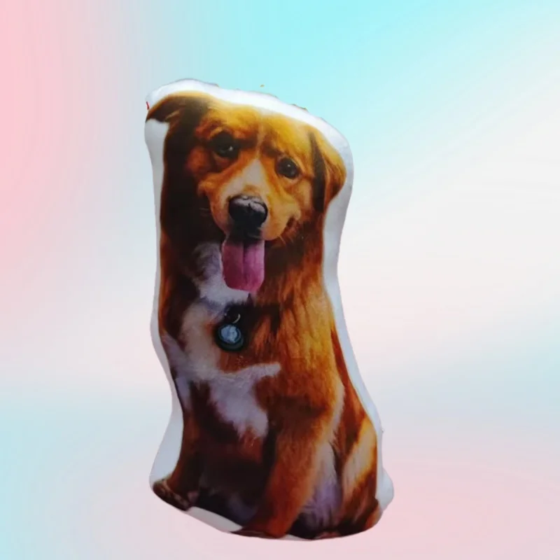 2D Custom Irregular Shaped Pillow Double‑Sided Print Multi‑Size 12‑50cm Upload Meme Pet Human Image DIY Creative Surprise Gift