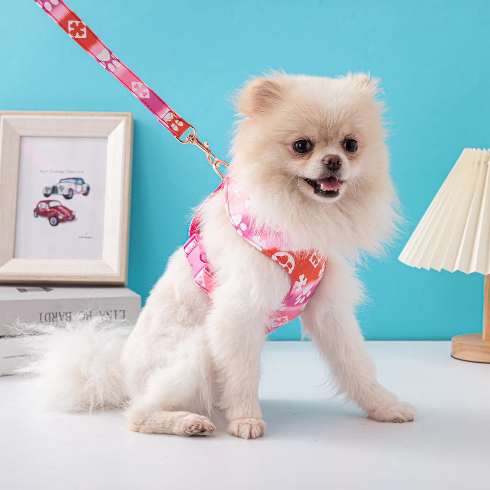 Harnas Hond Aangelijnd Set Kat Vest Pug Leash Walking Tool Wandelen Lead Hond Accessoires Pet Supplies ZY1012