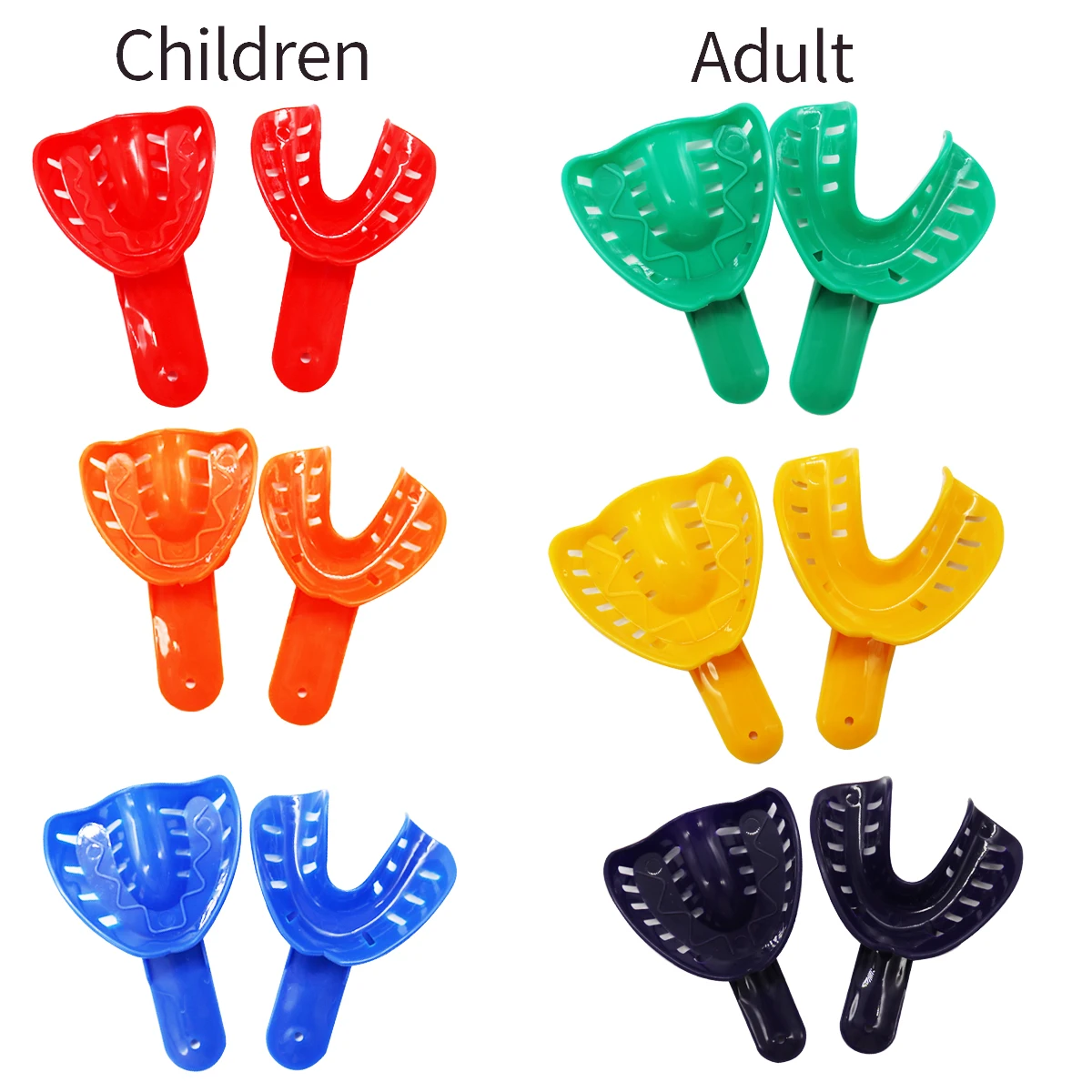 6Pcs Children's and Adults Dental Impression Trays Plastic Tooth Holder Trays Child Dental Holder