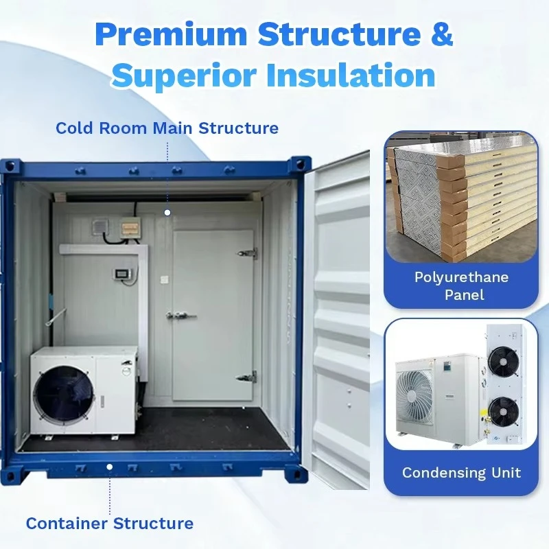 40ft Wholesale Market Commercial Solar Container Cold Room Large Solar Array Supports Nonstop Cooling For Mass Produce Stock