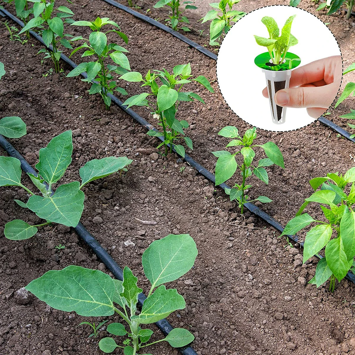 Seed Pod Kit Reusable Hydroponic Pods Kit Indoor Plant Pod Kit with Lightproof Stickers Plant Baskets Clear Garden Accessories