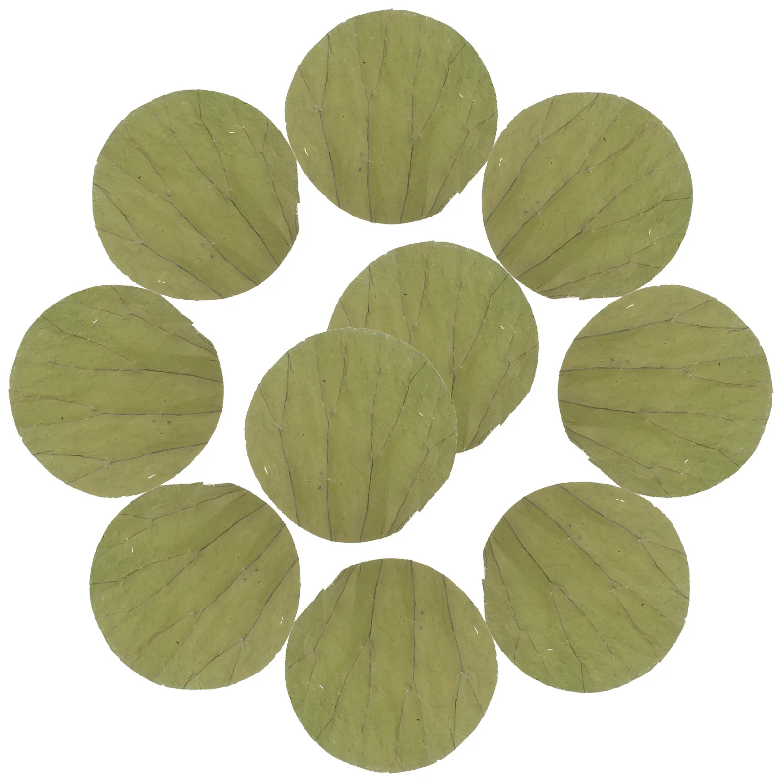 

100Pcs Round Dried Lotus Leaves for Sushi Plates Food Wrapping Natural Cooking Liner Decoration Leaves for Dim Sum