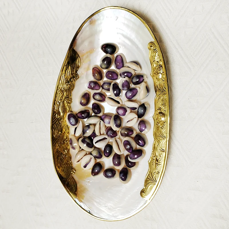 20 PC Blue-eyed Cowrie Sea Shells Real Purple Conch For Specimen Creative DIY Jewelry Nautical Fish Tank Aquarium Landscape