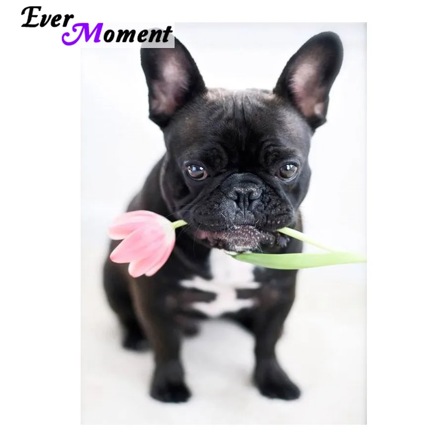 

Diy reasin square diamond painting cross stitch flower dog needlework embroidery handcraft sewing mosaic ASF643